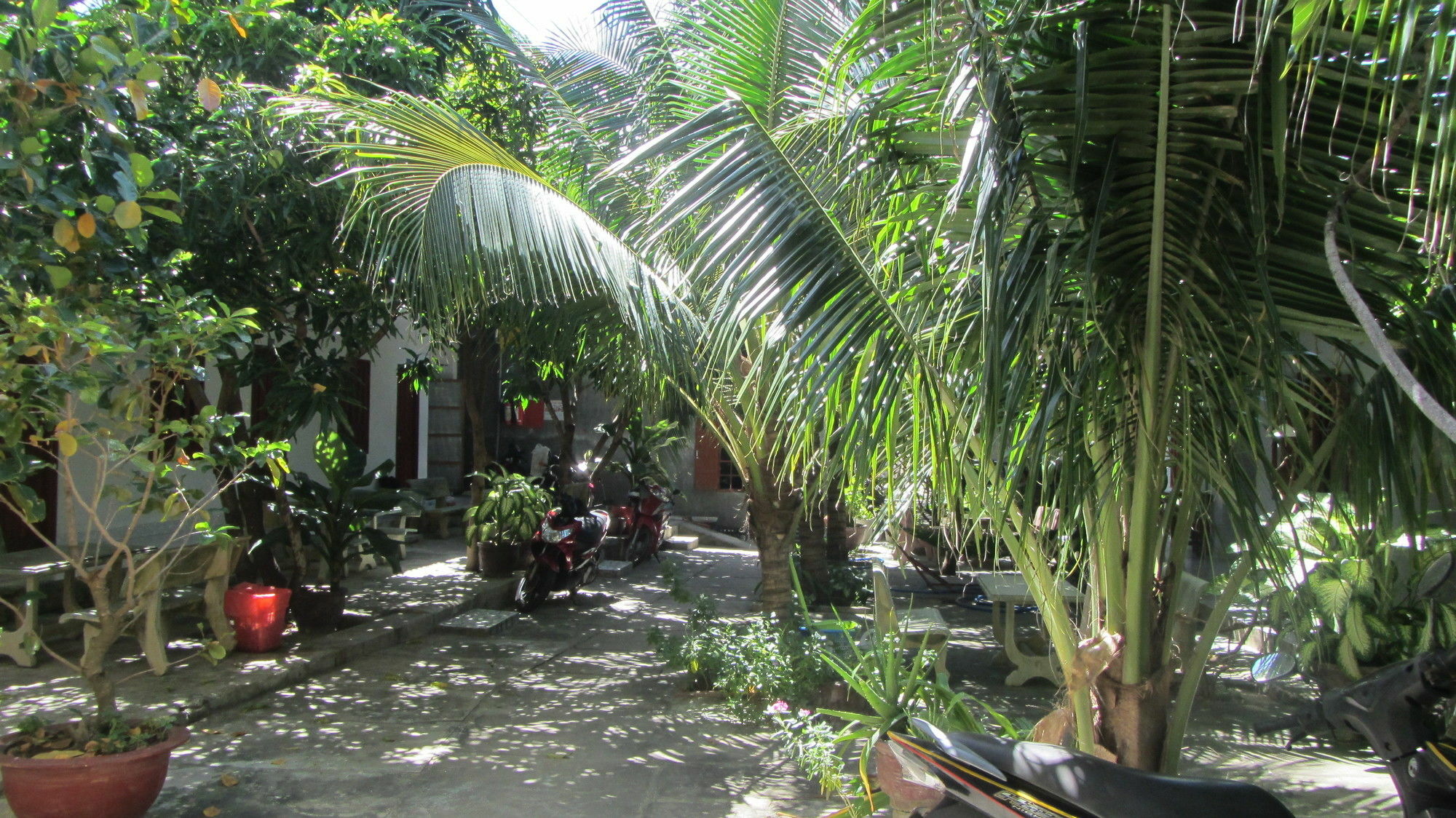 Duc Thao Guest House Mui Ne Exterior photo