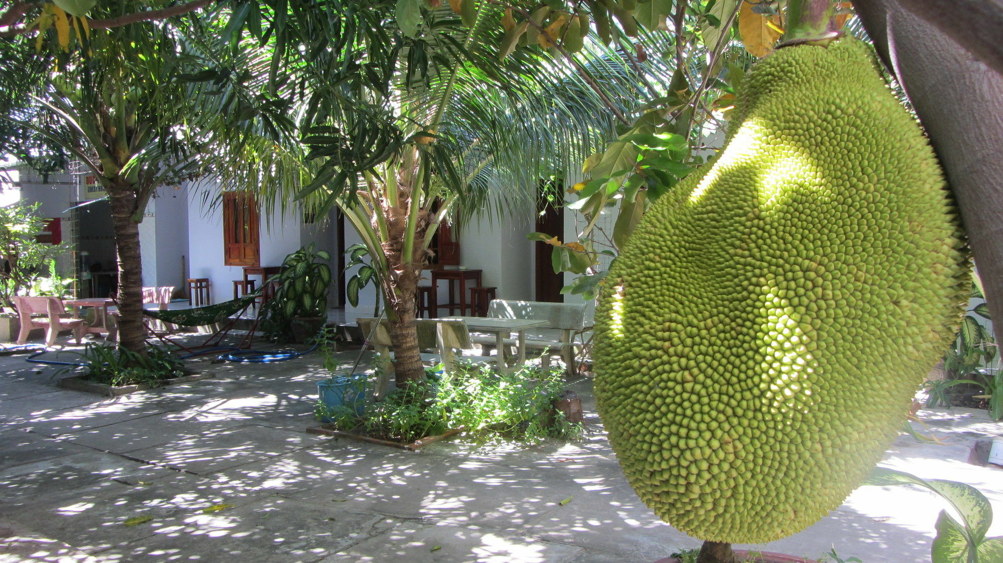 Duc Thao Guest House Mui Ne Exterior photo